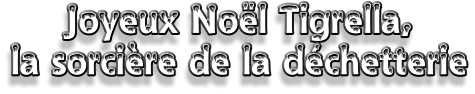 Joyeux Noël Tigrella, la sorcière de la déchetterie